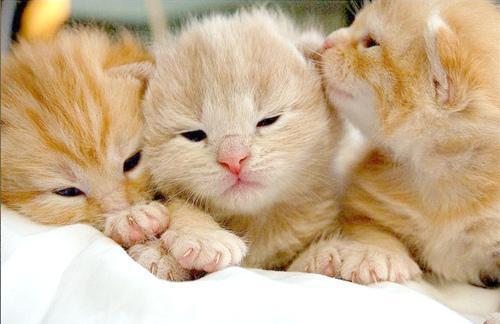 霁月拍摄组 作品封面